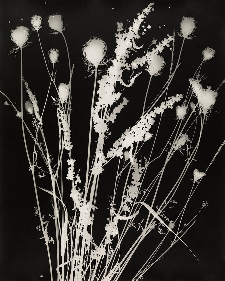 Lunagram XXII