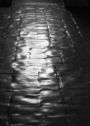 San Juan Bautistia Floors II