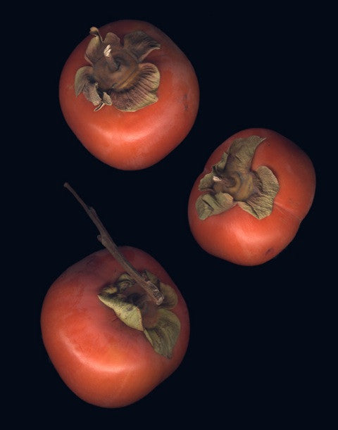 Persimmons #2