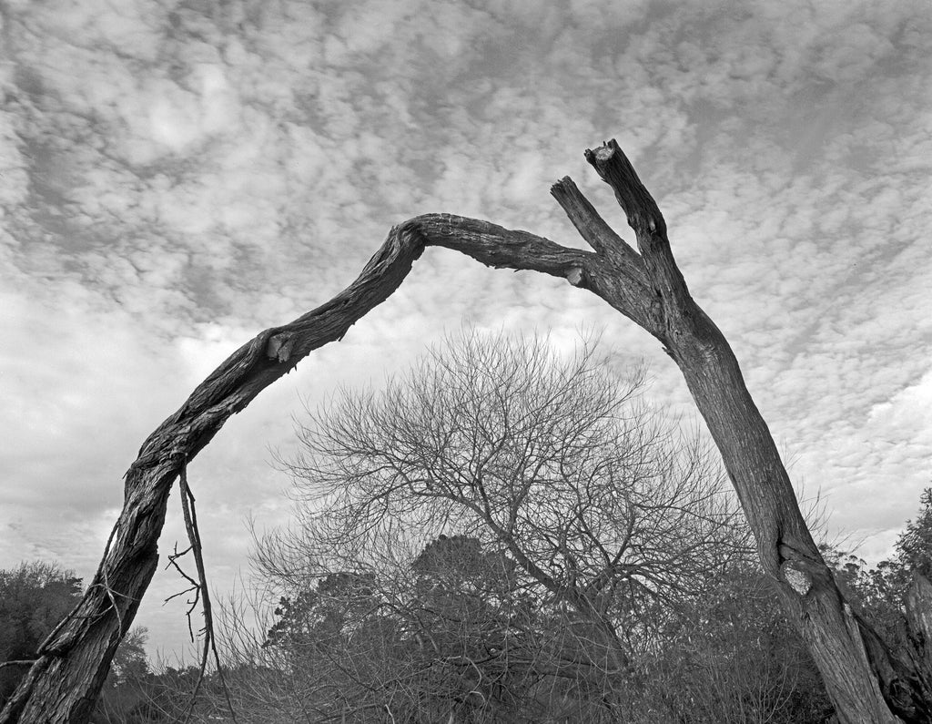 Stow Lake 5