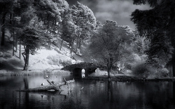 Stow Lake