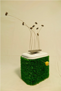 Buzz Box