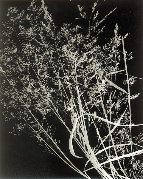 Lunagram IV