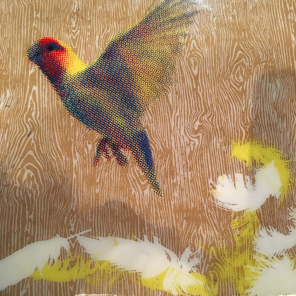 Parrot